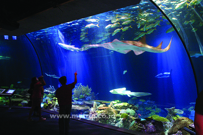 40 FAMILY HOLIDAY SPOTS (Bagian 1)