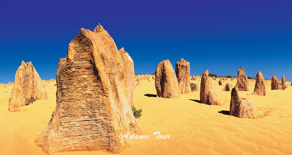ONE DAY TOUR DI SEKITAR PERTH: CAVERSHAM, CERVANTES, PINNACLES, LANCELIN