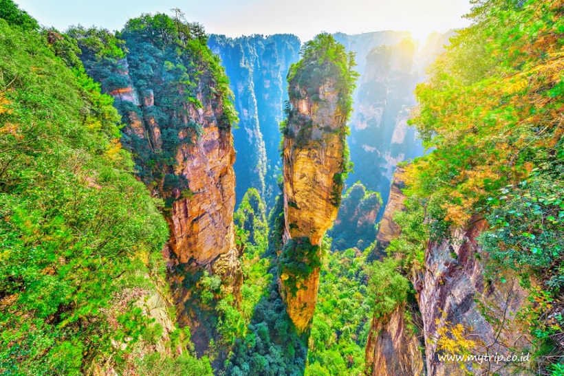 INSPIRASI FILM AVATAR DATANG DARI ZHANGJIAJIE NATIONAL PARK