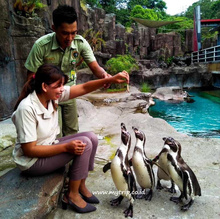 LIBURAN KELUARGA COCOKNYA KE MANA? KE TAMAN SAFARI PRIGEN AJA!