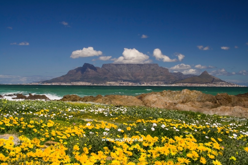10 TEMPAT WISATA MENARIK DI CAPE TOWN