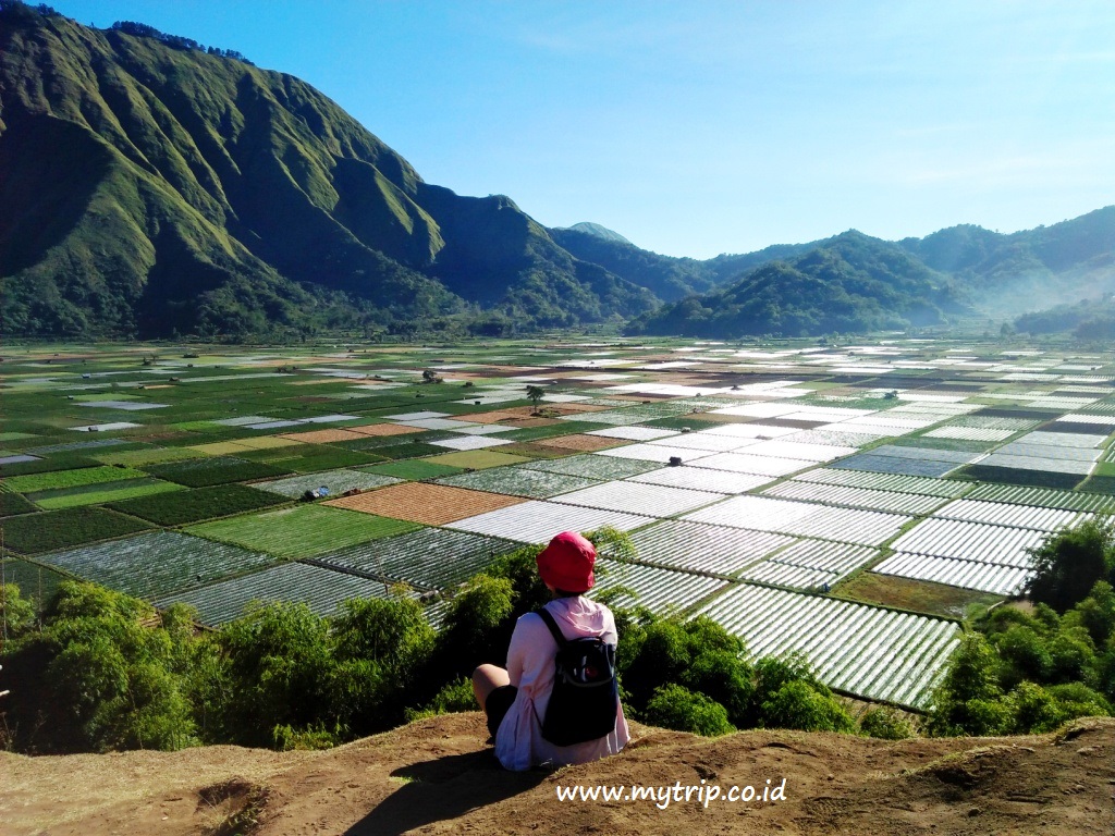 MUNGKIN ANDA BELUM TAHU ADA BUKIT INDAH DI TENGAH HUTAN BAMBU DI LOMBOK