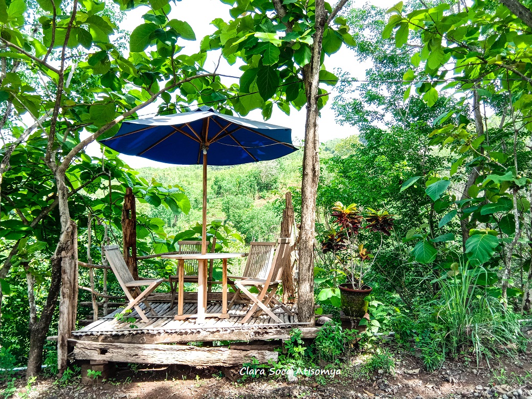 GIMANA YA RASANYA PIKNIK DI TENGAH HUTAN JATI?