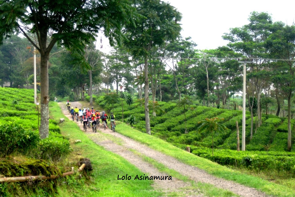 BERAKIT-RAKIT KE HULU, BERSEPEDA GUNUNG KITA KE TANGKUBAN PERAHU