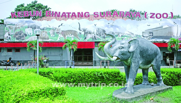 PANDUAN MUDIK HINGGA KE JAWA TIMUR (Bagian 3)