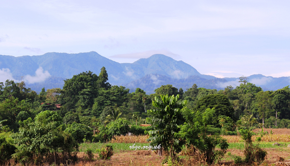 MARI MENGENAL TAMAN NASIONAL DI INDONESIA YANG MASIH JARANG TERDENGAR (Bagian 1)