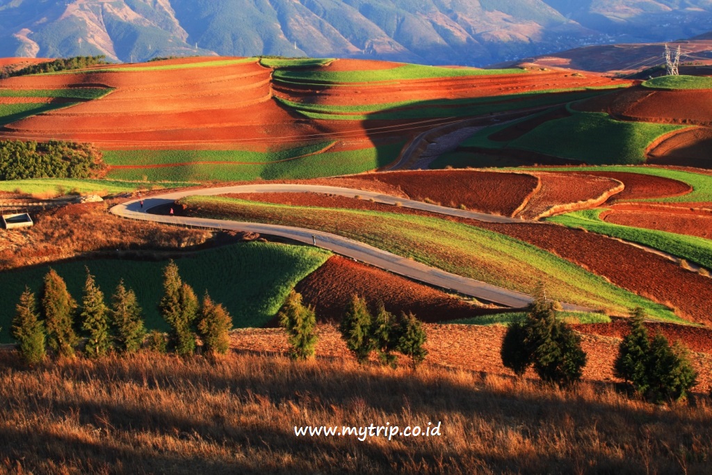 ALTERNATIF WISATA WARNI-WARNI DI CHINA: DONGCHUAN