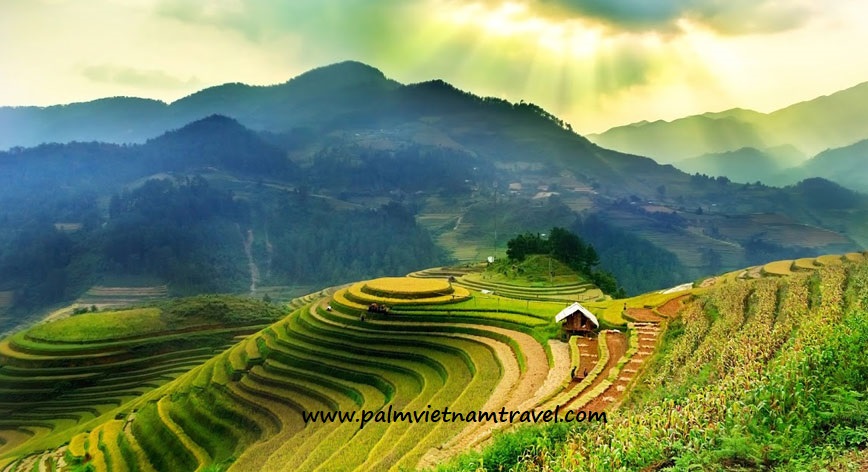 MENJELAJAH SAPA DI VIETNAM, ALPENNYA ASIA