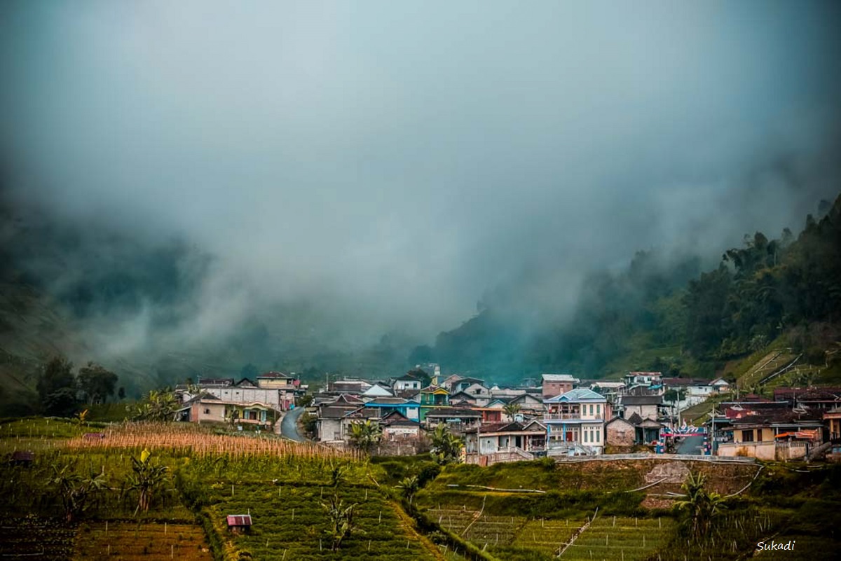 NEGERI BERSELIMUT KABUT, WONOMULYO