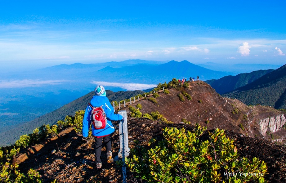 PANDUAN CERDAS EKSPLOR TAMAN NASIONAL GUNUNG GEDE-PANGRANGO