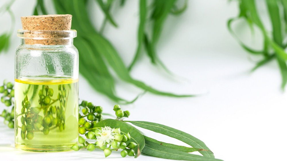 PERMEN MENGANDUNG EUCALYPTOL AGAR LEBIH AMAN JALANI NEW NORMAL