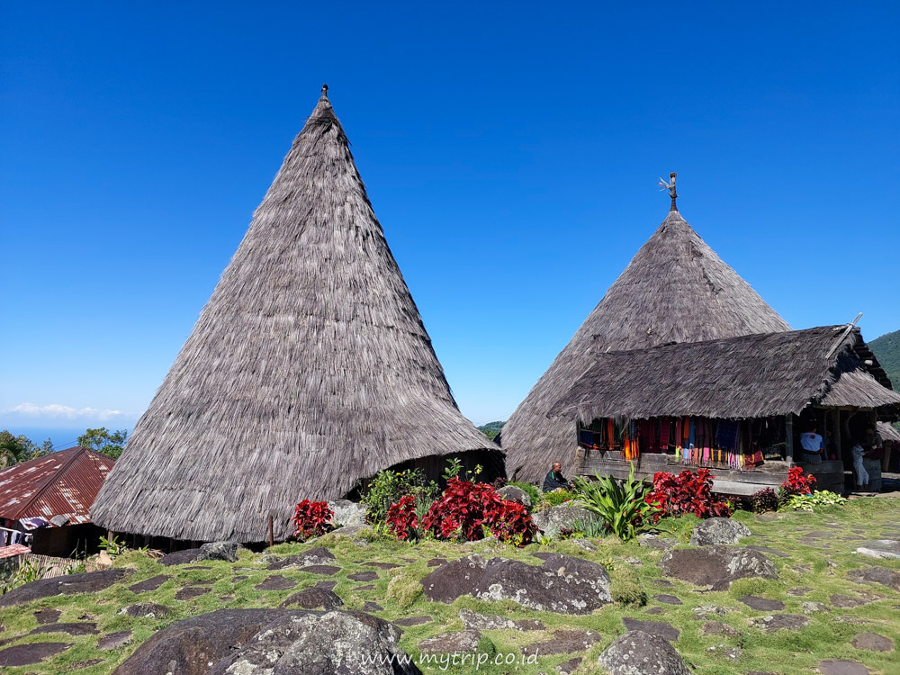 COMPANG TODO, KERAJAAN TERTUA DI MANGGARAI FLORES YANG BERASAL DARI MINANGKABAU (Bagian 1)