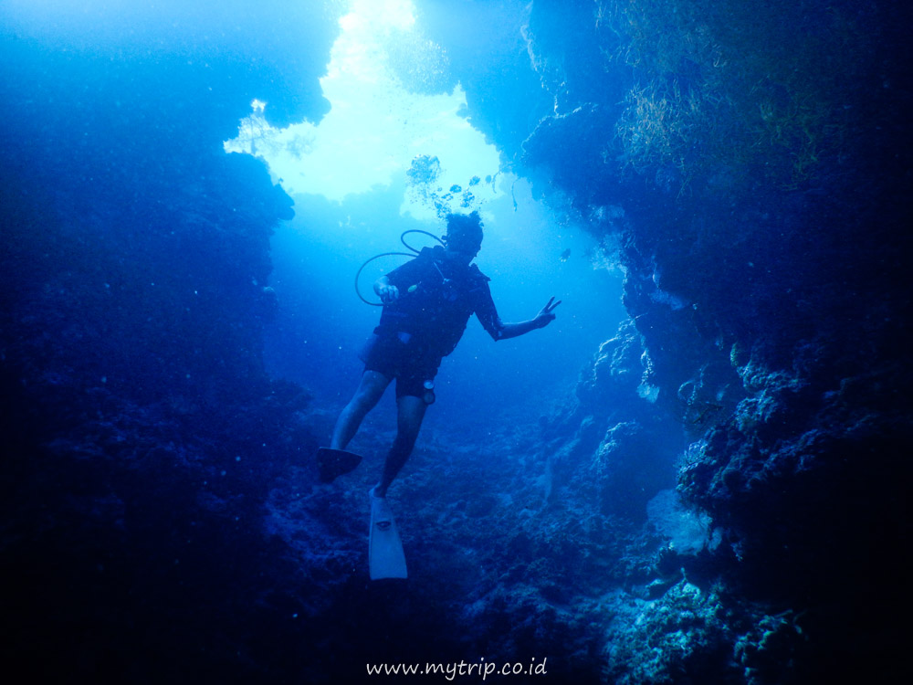 DIVING MENJANGAN BALI, COCOK BAGI PENYELAM PEMULA MAUPUN ADVANCED