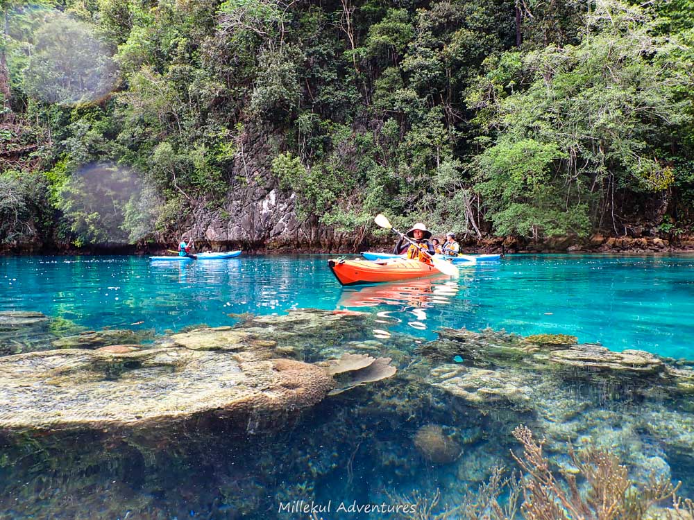 YANG SUDAH PERNAH KAYAKING DI MISOOL, PASTI KETAGIHAN!