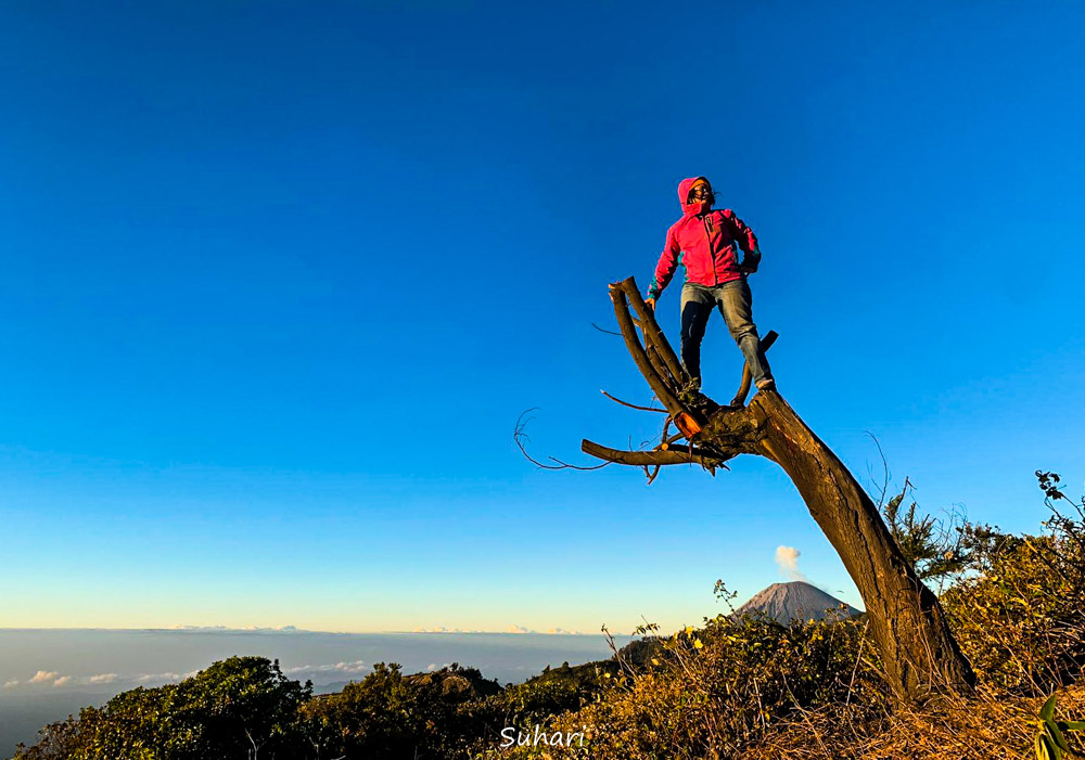 100+ DESTINASI WISATA DOMESTIK YANG BISA JADI PILIHAN DI ERA NEXT NORMAL. BAGIAN 4: JAWA TIMUR