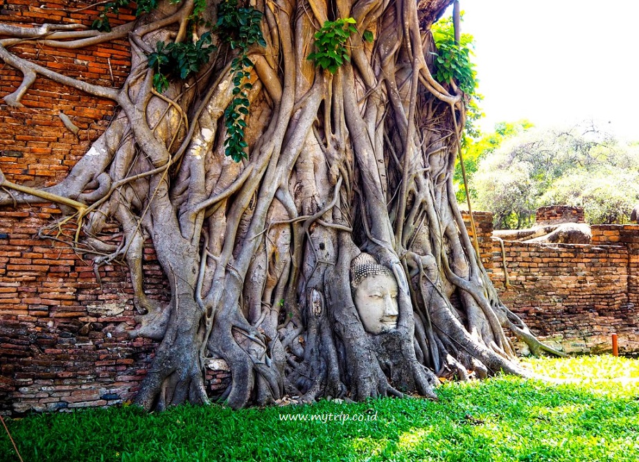 WAT MAHATHAT DAN PATUNG KEPALA BUDDHA YANG MENJADI SPOT FAVORIT TURIS DI AYUTTHAYA