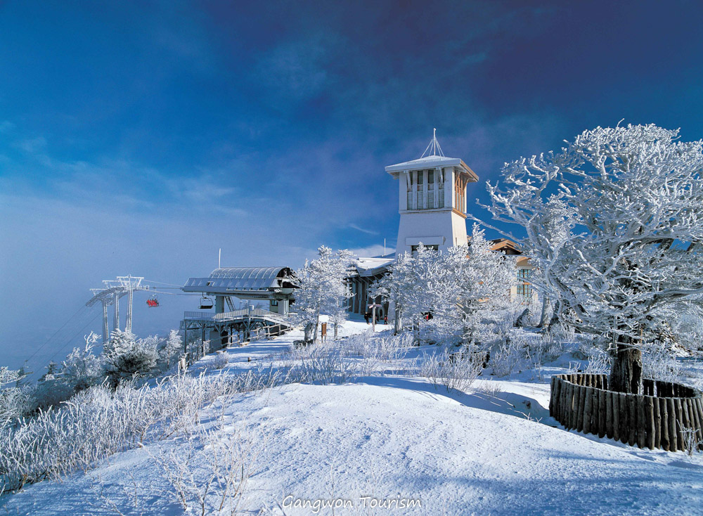 YUK NONTON GANGWON SNOW FESTA, KONSER & TUR VIRTUAL LAGU OST DRAMA KOREA