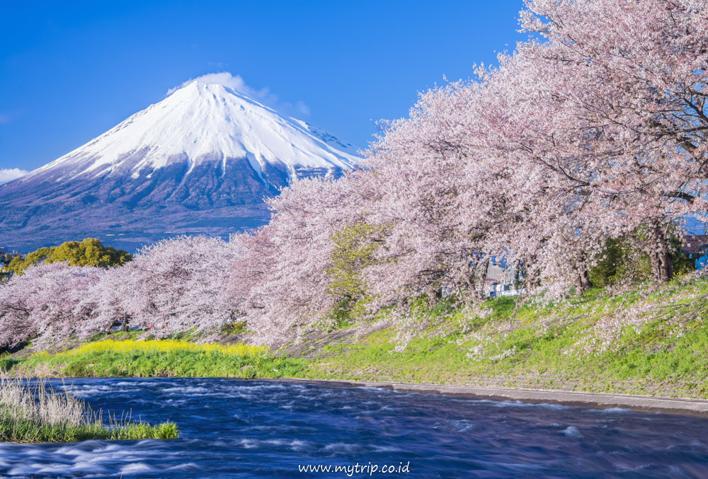 PANDUAN MENIKMATI GUNUNG FUJI DENGAN CARA SANTAI