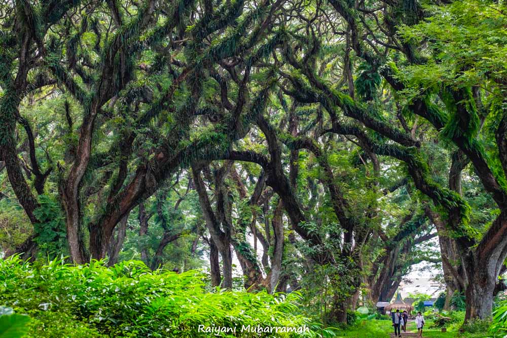 10 DESTINASI DI BANYUWANGI YANG TERAPKAN CHSE (BAGIAN 1)