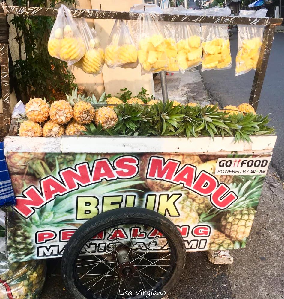 NANAS DUA NEGERI, DARI SIAK MENUJU BELIK