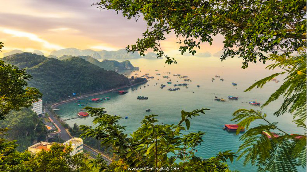 5 ATRAKSI WISATA UTAMA DI CAT BA ISLAND HA LONG BAY