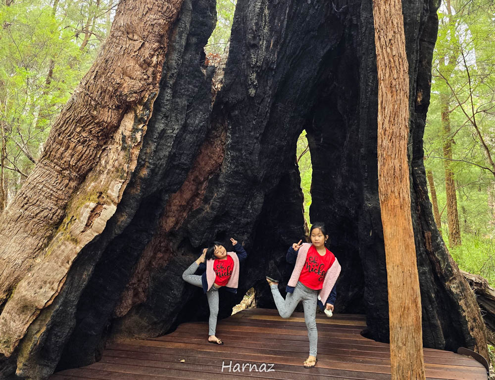 DOWN SOUTH TRIP 5: LEMBAH PARA RAKSASA DAN JELAJAH ALAM AUSTRALIA