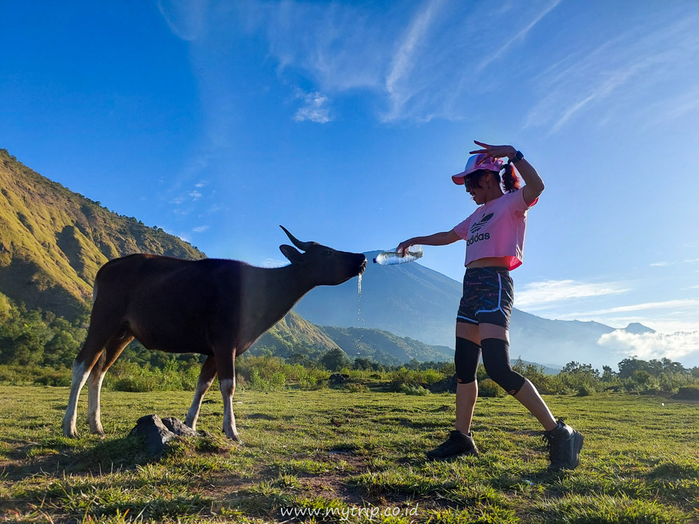 ALTERNATIF BUAT YANG NGGAK SANGGUP MENDAKI RINJANI: SAVANA DANDAUN AJA!