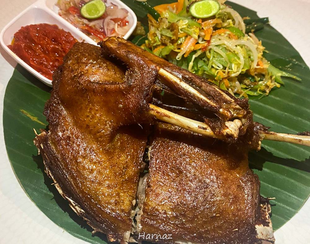 PREGINA SANUR SUDAH MENGALUN KEMBALI!
