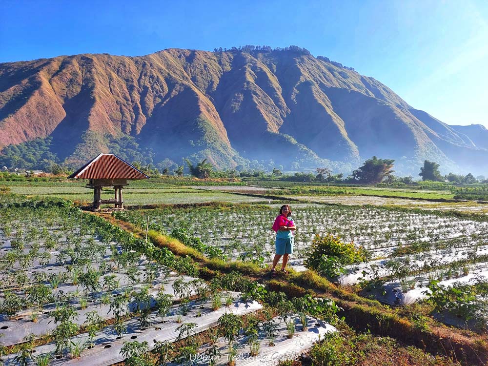 Morning Walk Sembalun