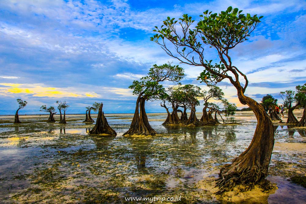 PANDUAN CERDAS EKSPLOR SUMBA (Bagian 1)