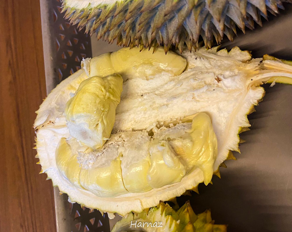 WONOSOBO LAGI: CANDI SETYAKI DAN DURIAN KESENENG
