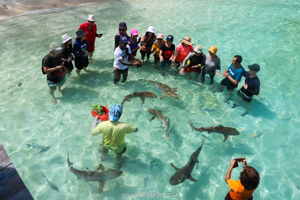 KILAS BALIK MYTRIP 2022