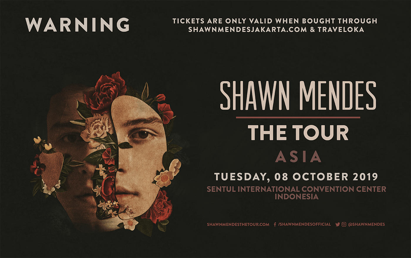 SHAWN MENDES AKAN KONSER DI SENTUL