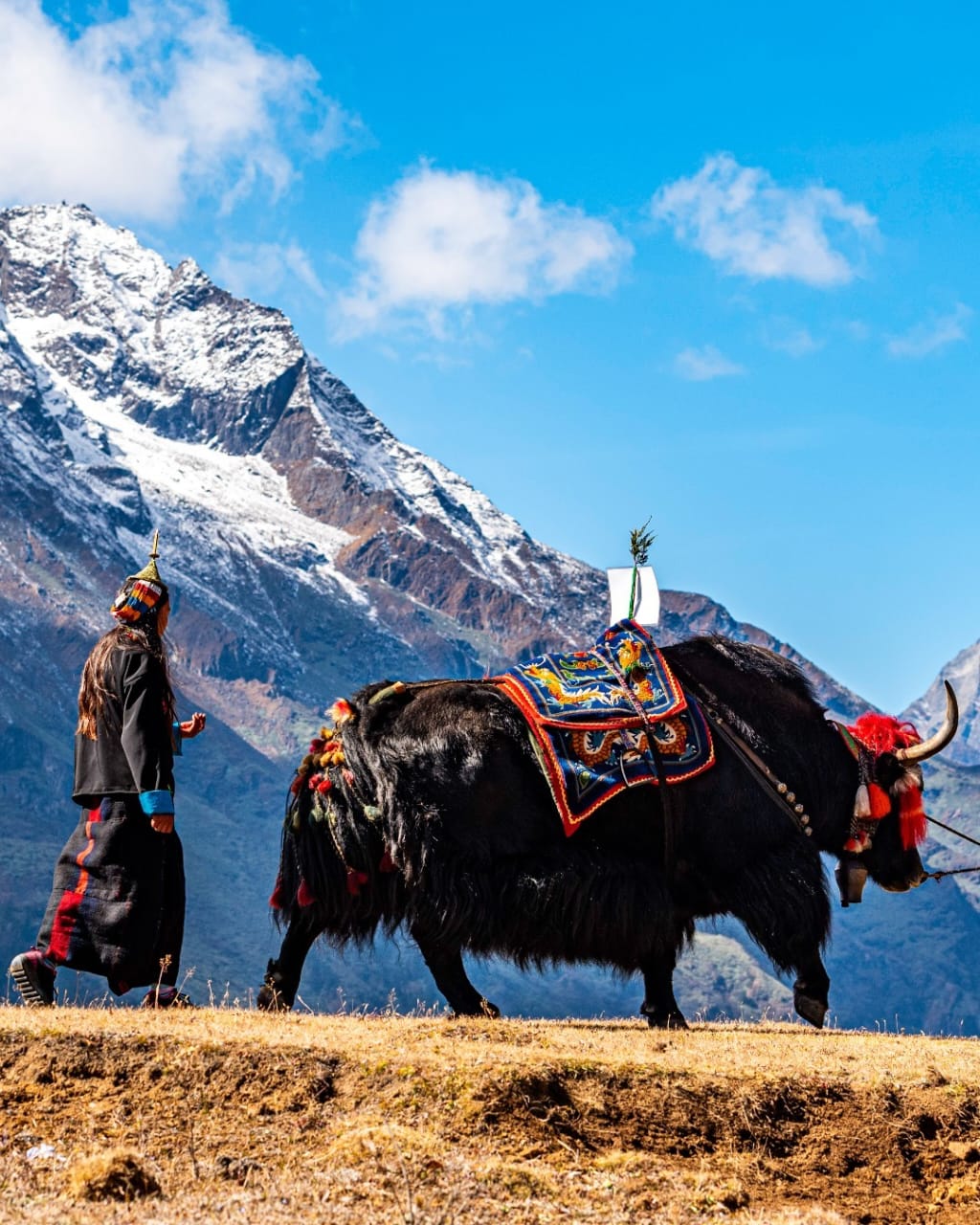 Royal Highland Festival in Gasa