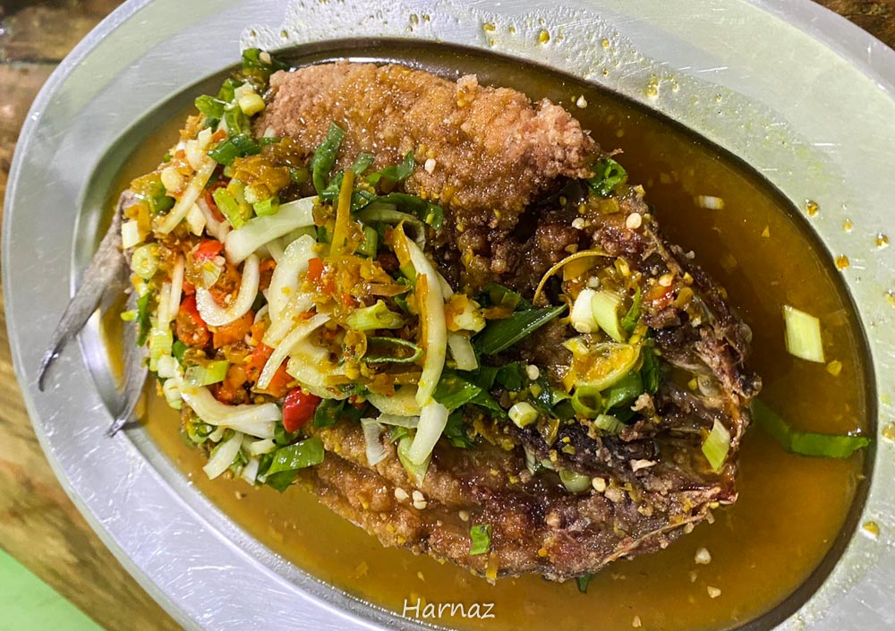 WARUNG SCI, SENSASI ORGASMIK ALA THAI