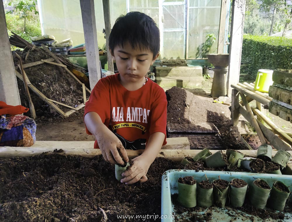 KEGIATAN FUN UNTUK ANAK-ANAK SAAT LIBURAN. PENGENALAN ORGANIC FARM