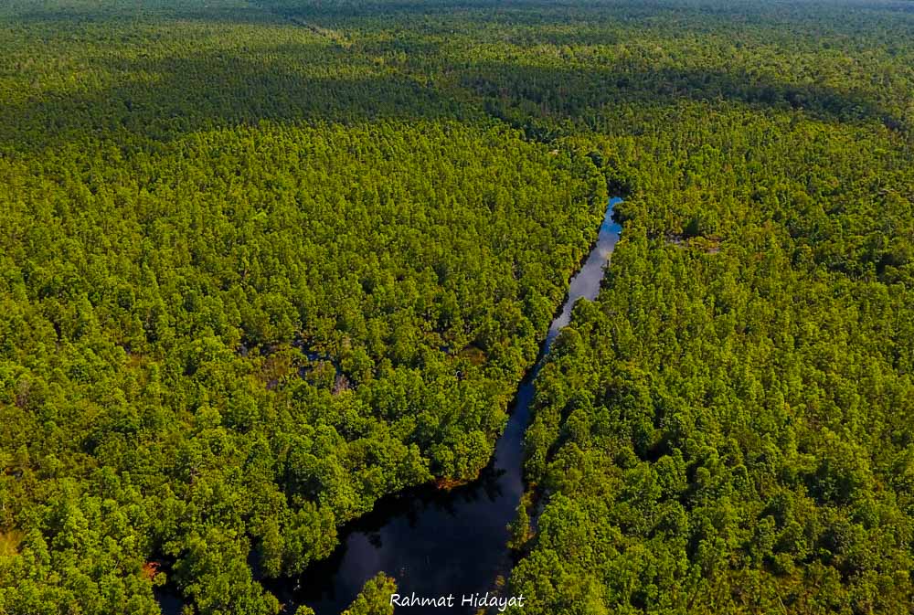 PANDUAN CERDAS EKSPLOR TAMAN NASIONAL SEBANGAU