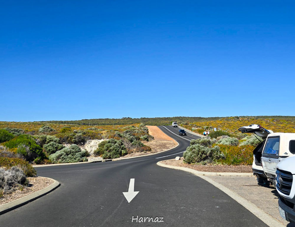 DOWN SOUTH TRIP 3: MARGARET RIVER, KOTA ANGGUR NAN CANTIK
