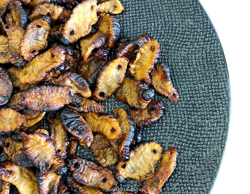 ULAT SAGU, MAKANAN MASA DEPAN?